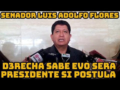SENADOR LUIS ADOLFO FLORES DICE PRESIDENTE ARCE SABE QUE SI EVO MORALES POSTULA GANARIA PRESIDENCIA