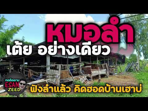 หมอลำเต้ยอย่างเดียว-ฟังแล้วคิด หมอลำเต้ยอย่างเดียว-ฟังแล้วคิด