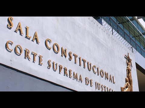 Sala Constitucional admitió recurso de amparo contra marchamo digital