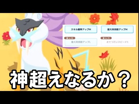 さらなる最強を求める旅。【ポケモンスリープ】