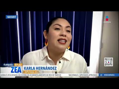 Ausente la presunción de inocencia en el gobierno de Nayarit: diputada del PRD | Francisco Zea