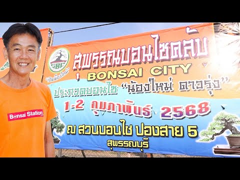 พบกันในงานBonsaiCityสุพรรณบ