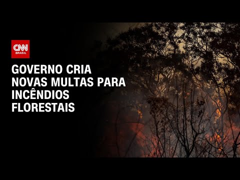 Governo cria novas multas para incêndios florestais | AGORA CNN