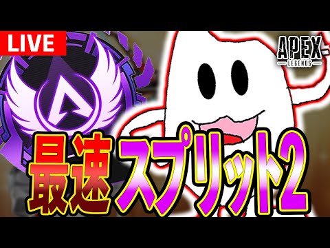 【Apex】らいすの本気ランク盛り配信！！！