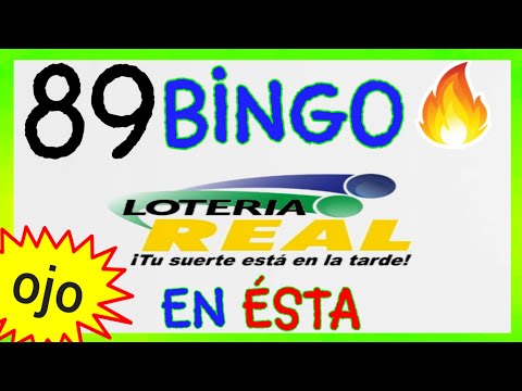 loteria REAL..! (( 89 )) BINGO hoy.! Un SÓLO NÚMERO para HOY/ NÚMEROS QUE MÁS SALEN/ SORTEO para hoy