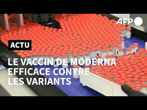 Le vaccin de Moderna efficace contre les variants britannique et sud-africain | AFP