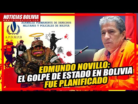 ?Edmundo Novillo: “Un AVIÓN de ARGENTINA llegó el 13 de NOVIEMBRE y eso está DOCUMENTADO”.?