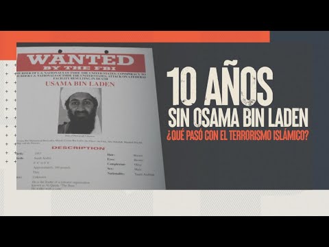 10 años sin Osama Bin Laden: ¿Qué pasó con el terrorismo islámico