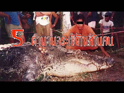 5-ตำนานจระเข้ยักษ์กินคนจากทั่ว 5-ตำนานจระเข้ยักษ์กินคนจากทั่ว