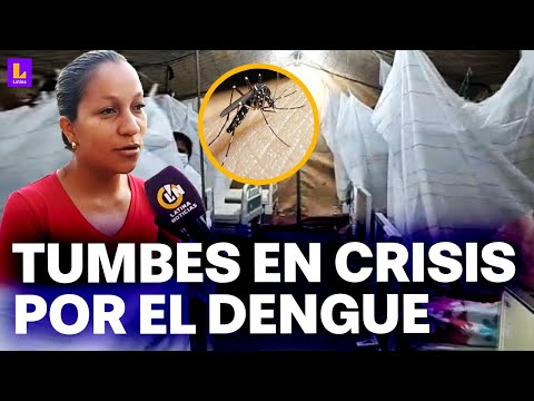 Si van al hospital, los regresan: Tumbes supera los 900 casos de dengue y no hay atención rápida