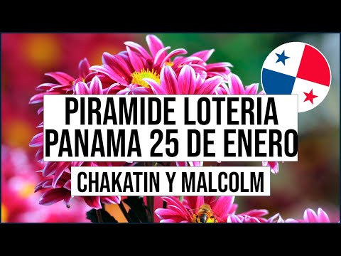 Pirámide Lotería de Panamá Miércoles 25 de Enero 2023  - Pirámide de Chakatin y Malcolm Ramos