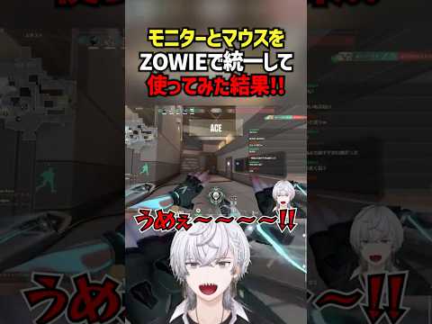 モニターとマウスをZOWIEで統一して使ってみた結果！！ #切り抜き #ぽてぃー #valorant #valorantclips