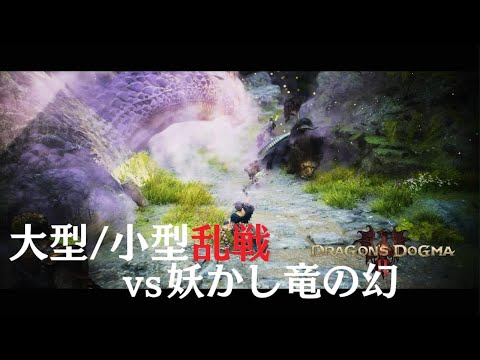 Dragoon's Dogma 2【最初のダウンで尻尾に憑ければ良かった...】ドラゴンズドグマ2