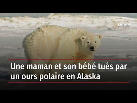Une maman et son bébé tués par un ours polaire en Alaska