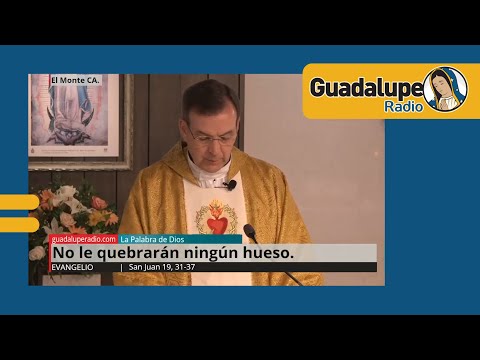 Evangelio de hoy 07/junio/2024