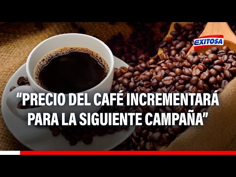 Cillóniz: Buenas noticias para la selva, precio del café incrementará para la siguiente campaña