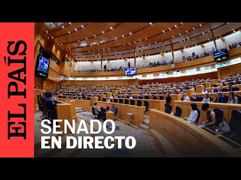 DIRECTO | Comisión de Transportes y Movilidad Sostenible | EL PAÍS