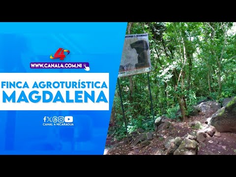 Finca agroturística Magdalena, espacio para conocer la producción cafetalera y raizar turismo rural