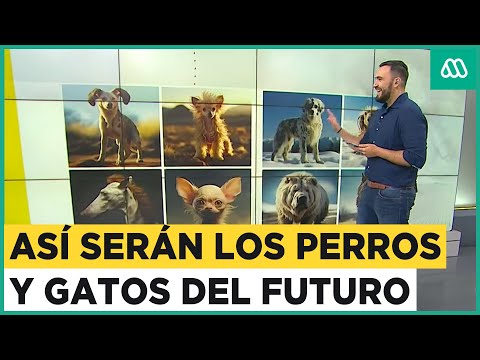 El futuro de los perros y gatos: Así serán tus mascotas en 10 mil años según inteligencia artificial
