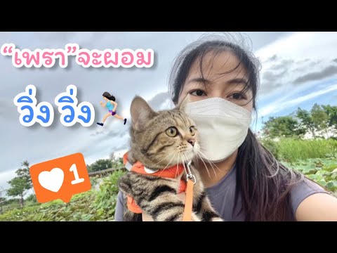 “เพรา”จะผอม-ออกกำลังกายสวนเจริ “เพรา”จะผอม-ออกกำลังกายสวนเจริ