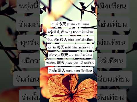 ภาษาจีนวันละคำstudythaistudy