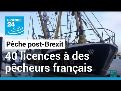 Pêche post-Brexit : 40 licences accordées à des bateaux français • FRANCE 24