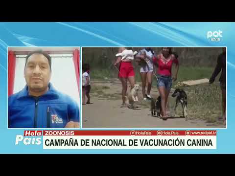 ZOONOSIS INICIA CAMPAÑA NACIONAL DE VACUNACIÓN CANINA