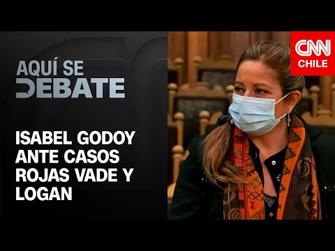 “No hicimos el mismo juicio de castigo”: Convencional Godoy comparó los casos de Rojas Vade y Logan