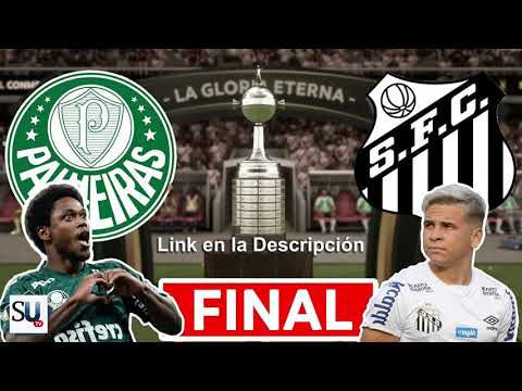 Palmeiras vs Santos - Final de la Copa Libertadores 2021