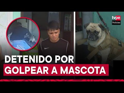 Maltrato animal en Breña: joven golpea a su perro varias veces en ascensor de su edificio