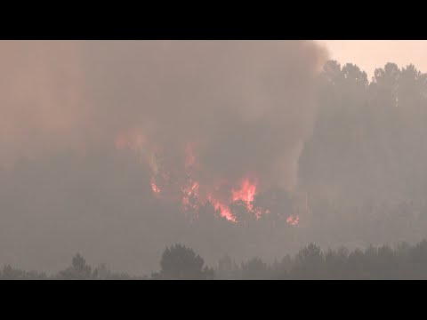 Más de 500 efectivos luchan contra el incendio de Hurdes y Gata (Cáceres)