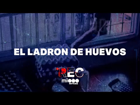 EL LADRÓN DE HUEVOS - ATAQUE BRUTAL EN EL BAR - #REC