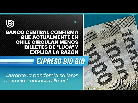 Banco Central confirma que actualmente en Chile circulan menos billetes de luca y explica la razón