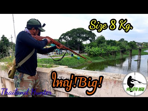 SHOOT-FISH-ยิงปลาใหญ่-ล่องน้ำใ SHOOT-FISH-ยิงปลาใหญ่-ล่องน้ำใ