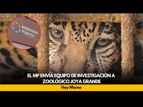 El MP envía equipo de investigación a zoológico Joya Grande