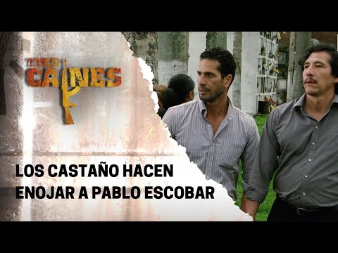 Fidel Castaño reta a Pablo Escobar | Tres caínes