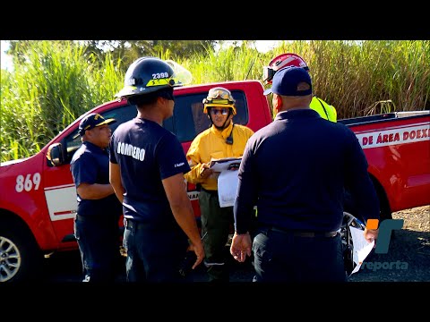 Cuerpo de Bomberos realizó simulacro de incendio de masa vegetal