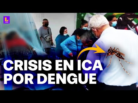 Más de 13 mil casos de dengue en Ica: Los médicos no se abastecen