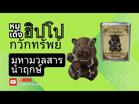 ฮิปโปเรียกทรัพย์หมูเด้งพระวิ