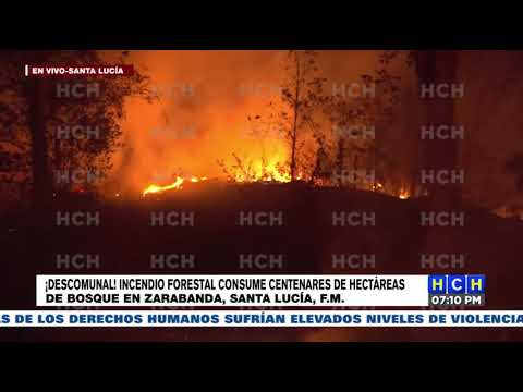 Voraz incendio forestal consume el bosque en Santa Lucía, FM