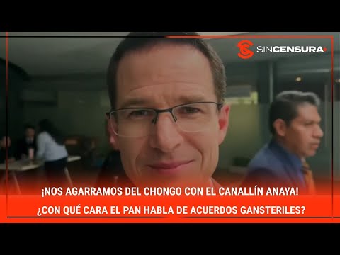 ¡Nos agarramos del CHONGO con el canallín Anaya! ¿Con qué cara el PAN habla de acuerdos gansteriles?