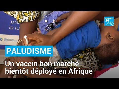 Paludisme : un vaccin bon marché bientôt déployé en Afrique • FRANCE 24