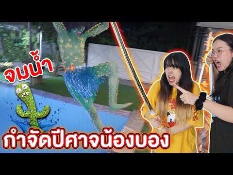 พี่กุ๊กกุ๊ก-กำจัด-น้องบองปีศาจ พี่กุ๊กกุ๊ก-กำจัด-น้องบองปีศาจ