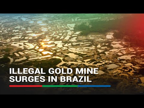 Illegal gold mine surges in Brazil state bordering Amazon