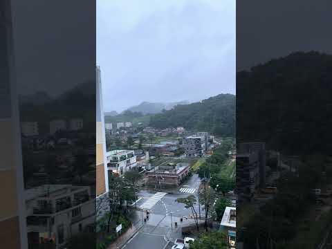 ฝนตกเกาหลี