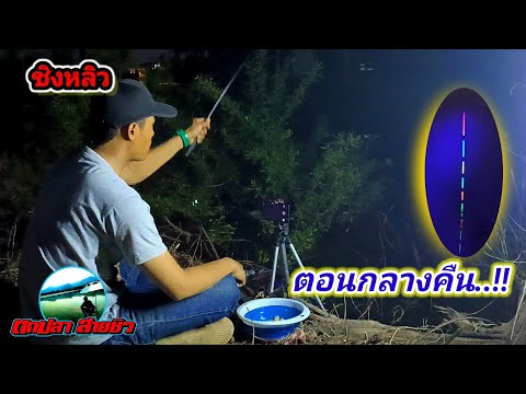 ส่องทุ่นยามค่ำคืน-ตกชิงหลิวตอน ส่องทุ่นยามค่ำคืน-ตกชิงหลิวตอน