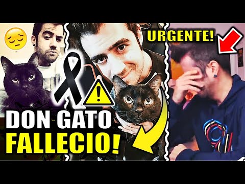 DON GATO MURIO | AURONPLAY confirma triste noticia en Twitter | Biyin y Auron tristes ¿Que paso