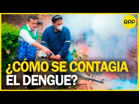 Incremento de casos de dengue en el Perú