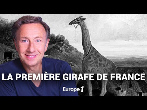 Les récits de Stéphane Bern : La véritable histoire de Zarafa, la première girafe de France