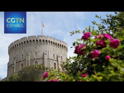La Terraza Jardín Oriental del Castillo de Windsor abre por primera vez en 40 años al público